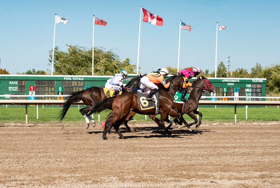 Horse racing — illustrative image for a UK bookmaker matched-betting guide