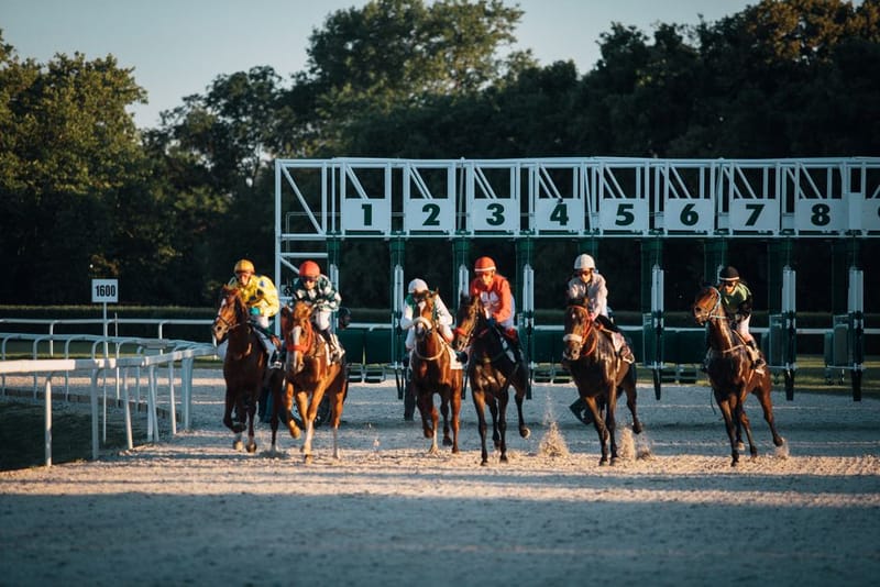 Horse Racing Matched Betting Profit UK 2026
